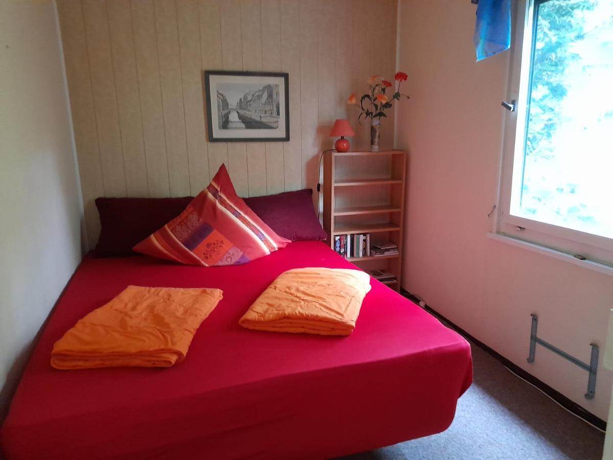 Vila Bungalow Am Waldbad Dahlen Exteriér fotografie